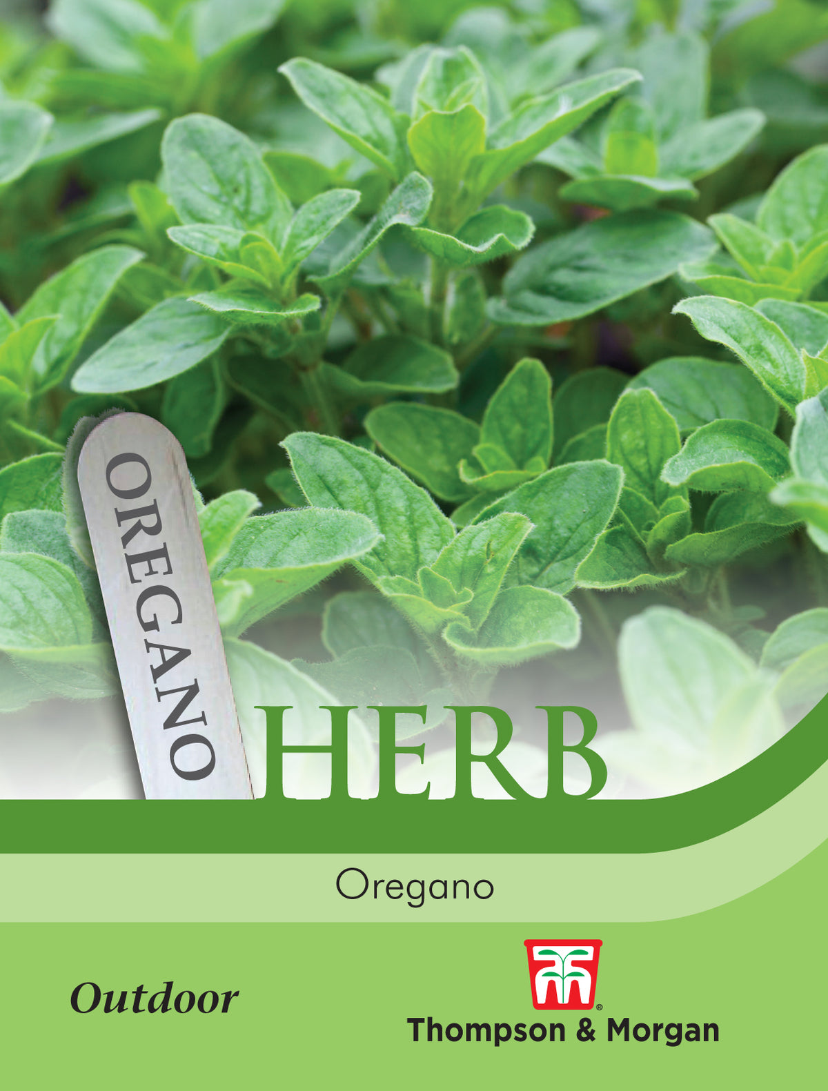 Herb Oregano- Pack of seeds