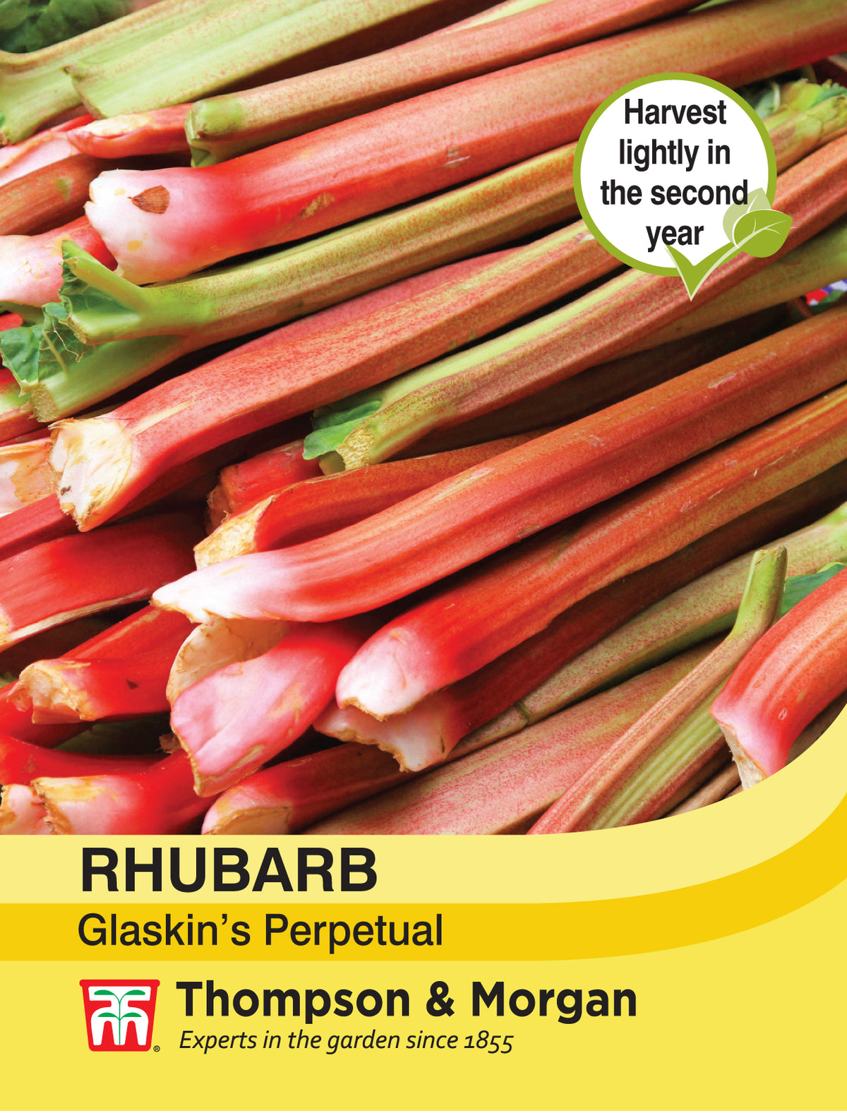 Rhubarb- Pack of seeds