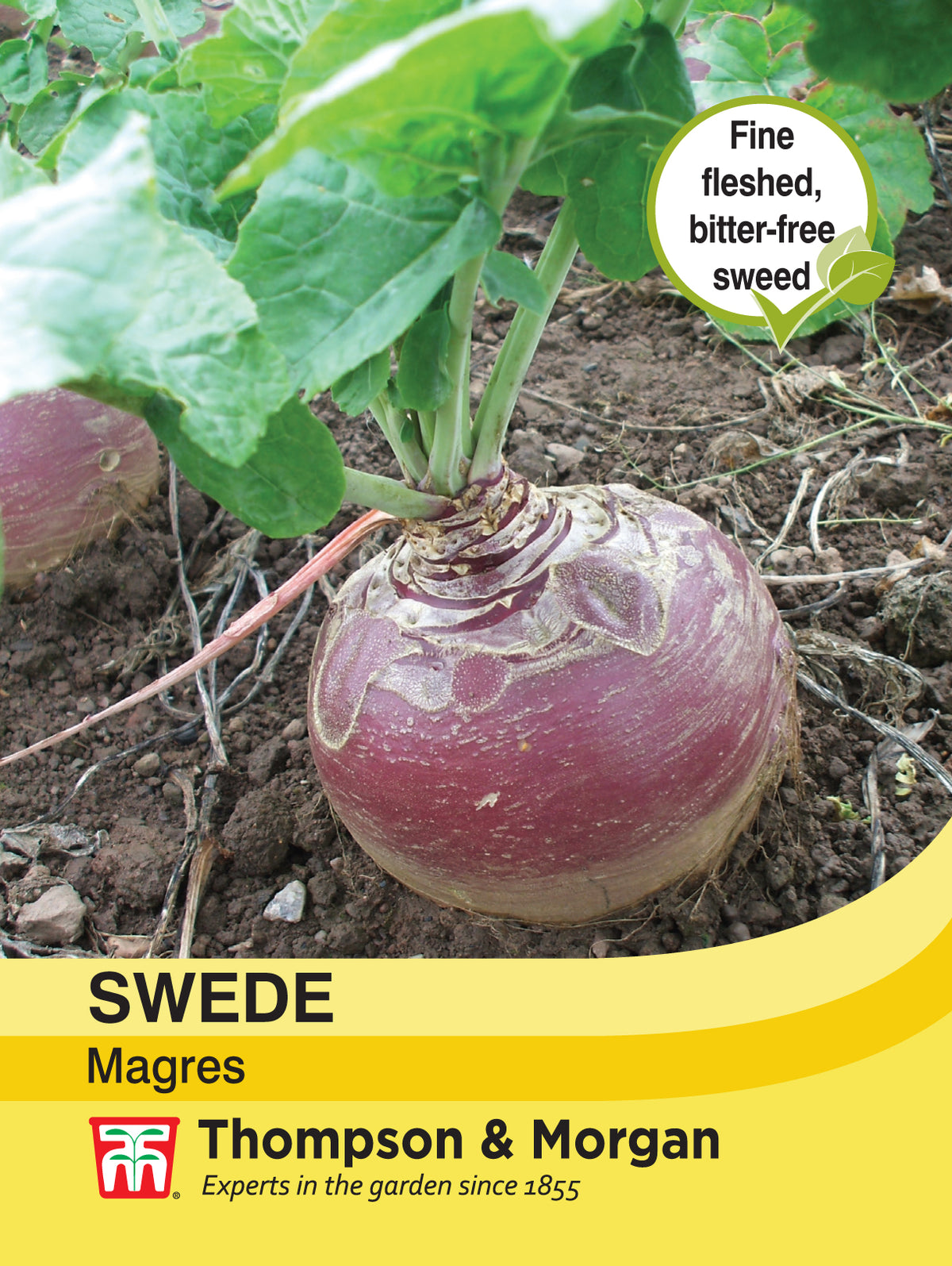 Swede Magres- Pack of seeds