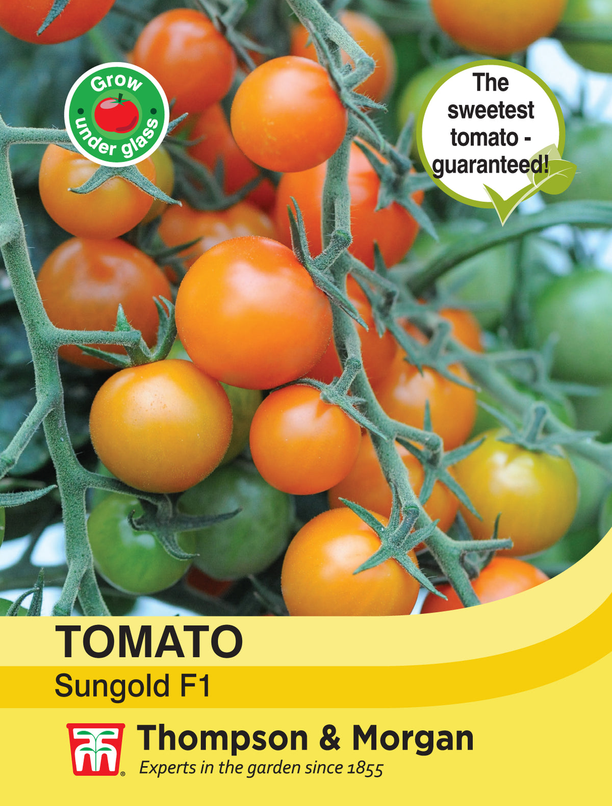 Tomato Sungold F1 Hybrid- Pack of seeds