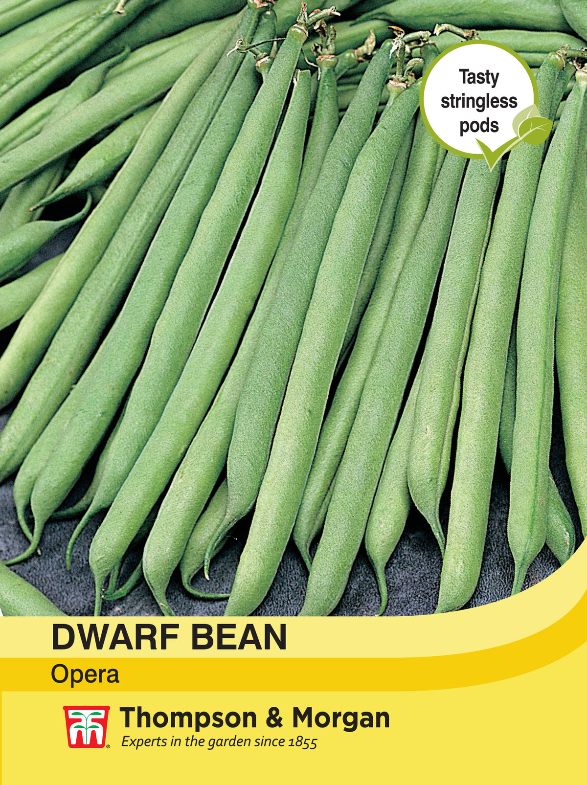 Dwarf Bean Opera- Pack of seeds