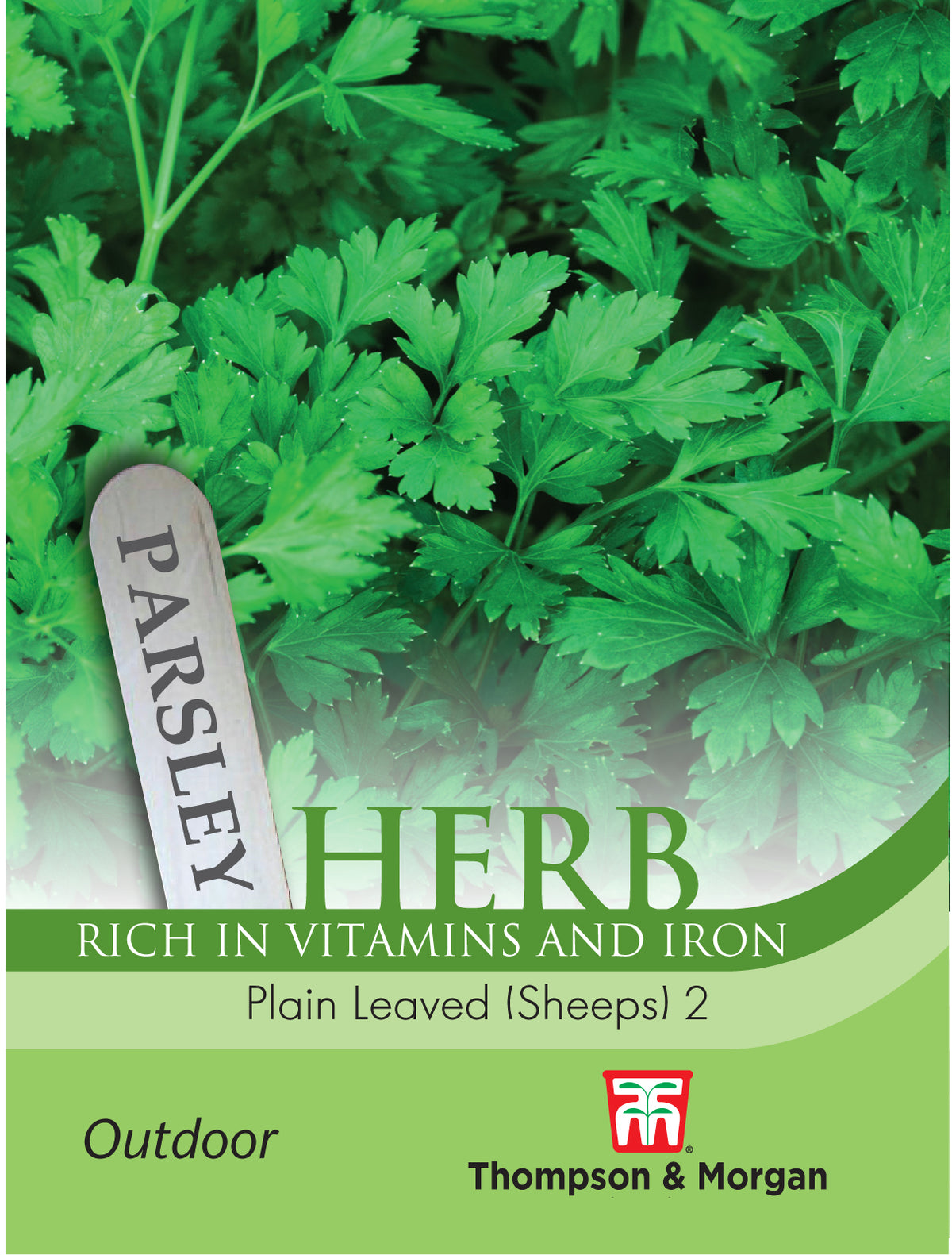 Herb Parsley Plain Leaved (Sheeps) 2- Pack of seeds