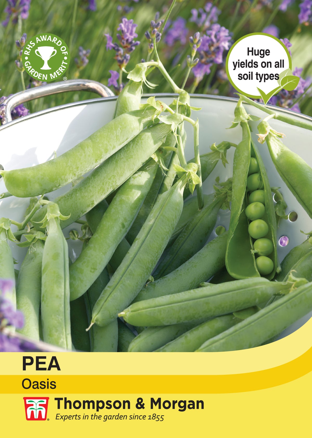 Pea Oasis- Pack of seeds