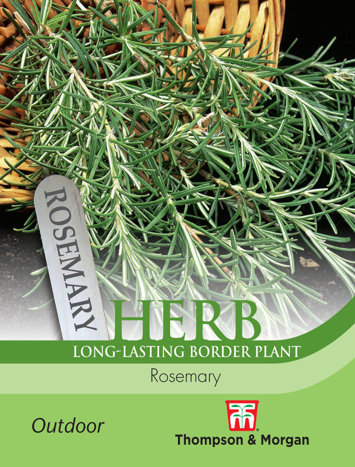 Herb Rosemary- Pack of seeds