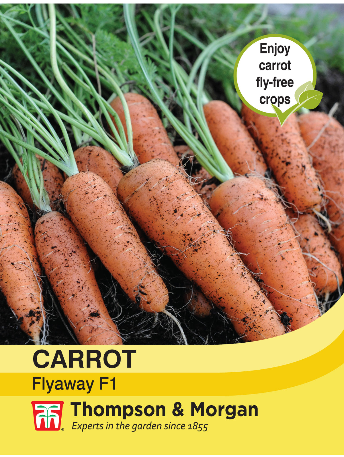 Carrot Fly Away F1 Hybrid- Pack of seeds
