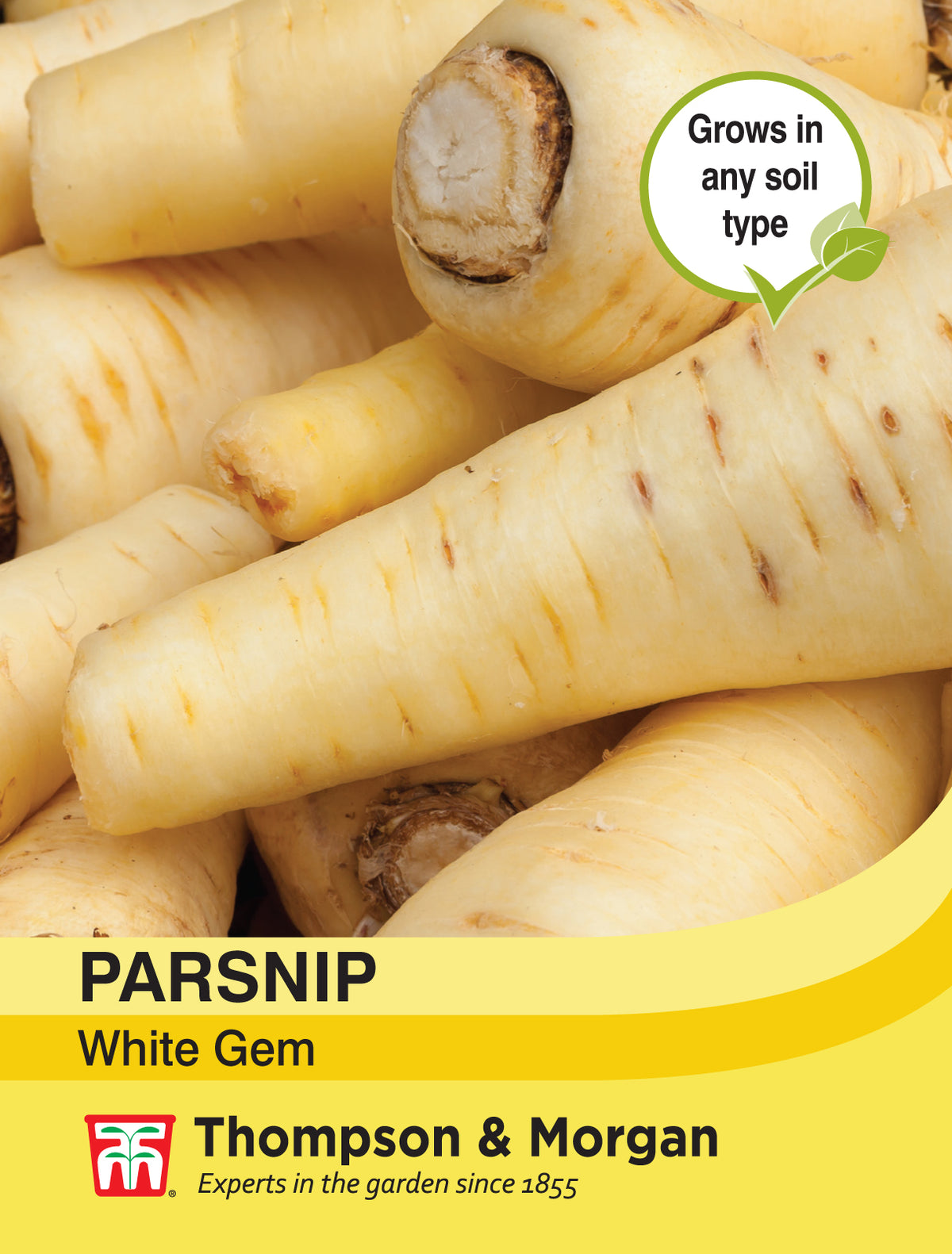 Parsnip White Gem- Pack of seeds
