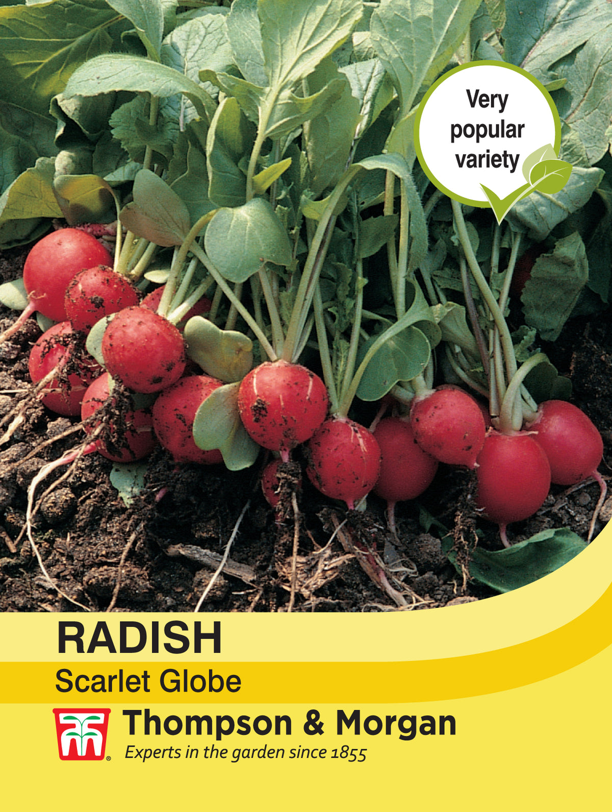 Radish Scarlet Globe- Pack of seeds
