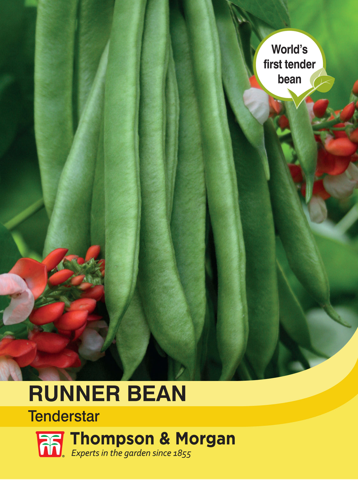 Runner Bean Tenderstar- Pack of seeds
