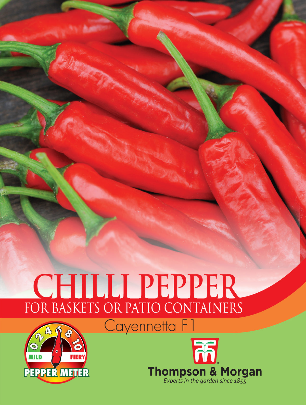 Pepper Chilli Cayennetta- Pack of seeds