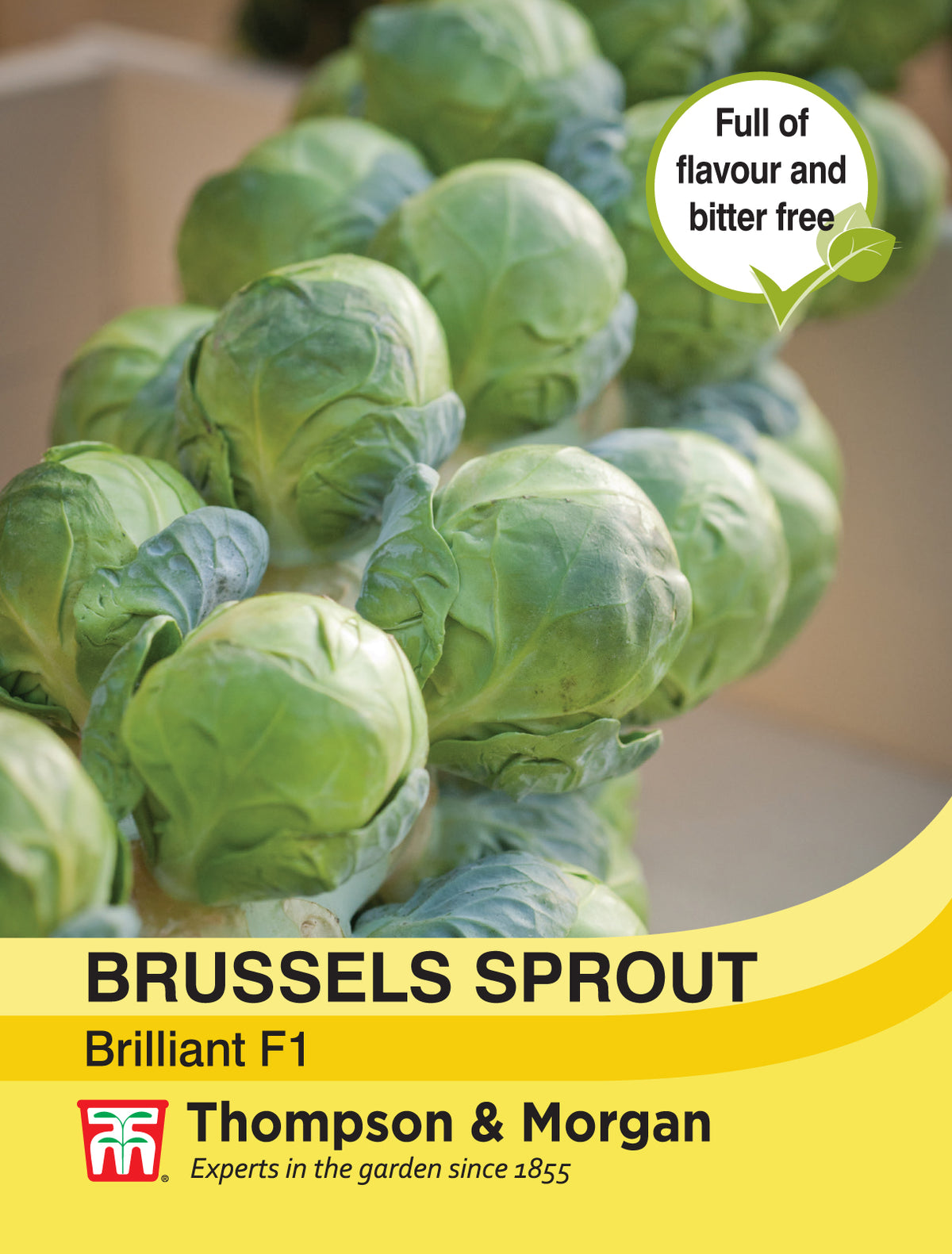 Brussels Sprout Brilliant F1 Hybrid- Pack of seeds