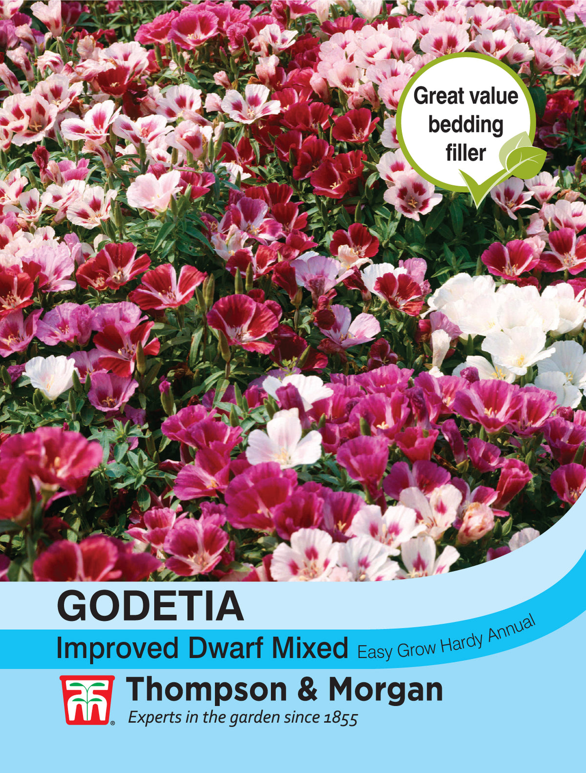 Godetia Improved Dwarf Mixed- Pack of seeds