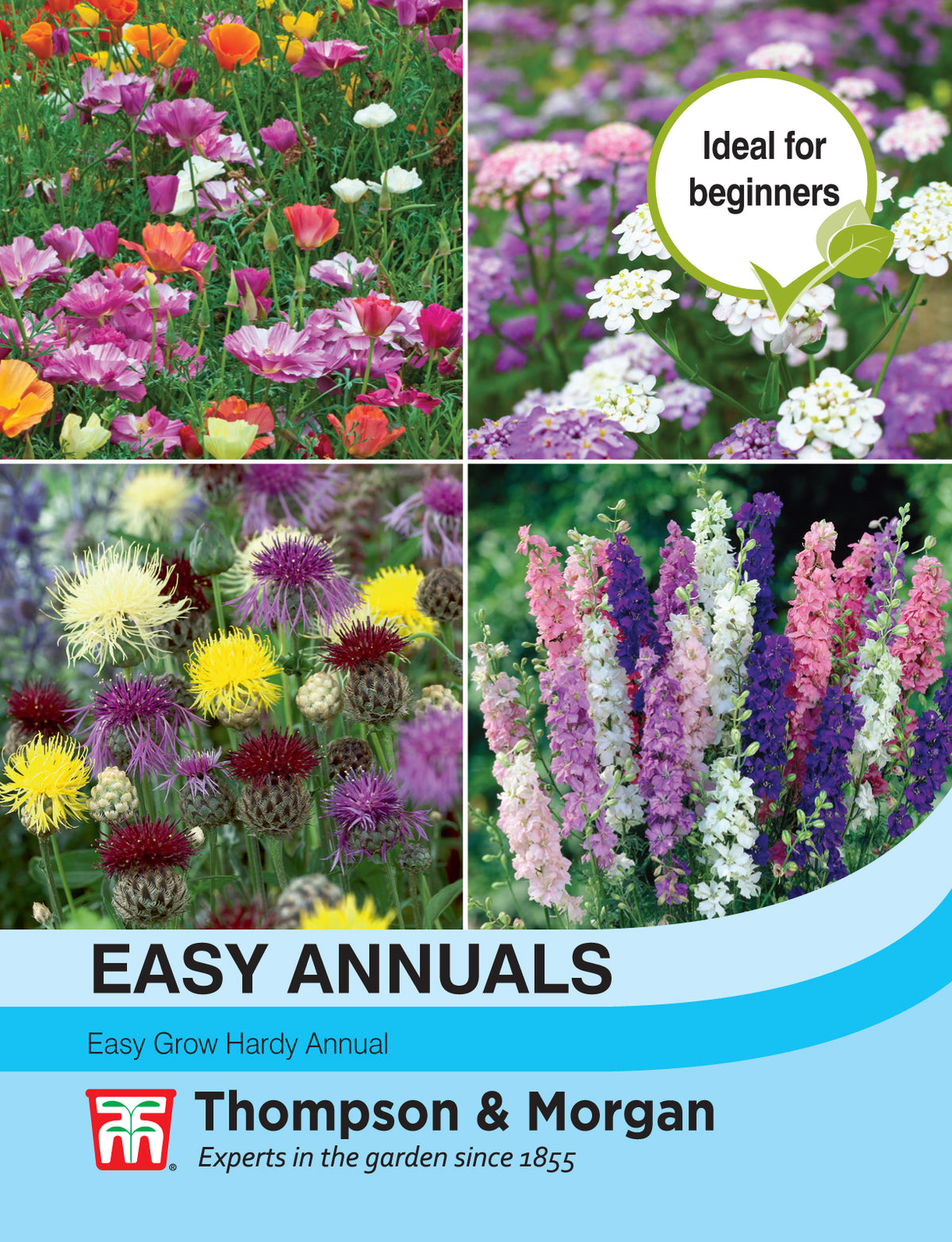 Easy Annuals- Pack of seeds