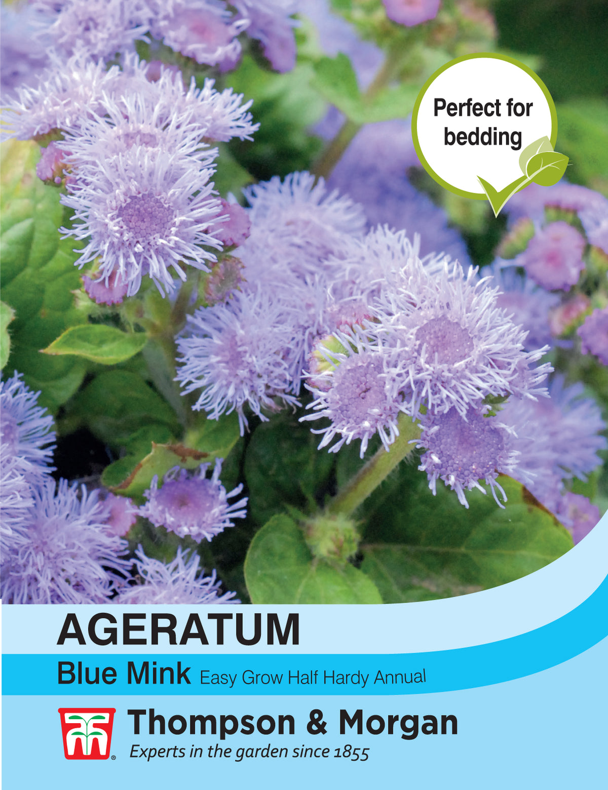 Ageratum Blue Mink- Pack of seeds