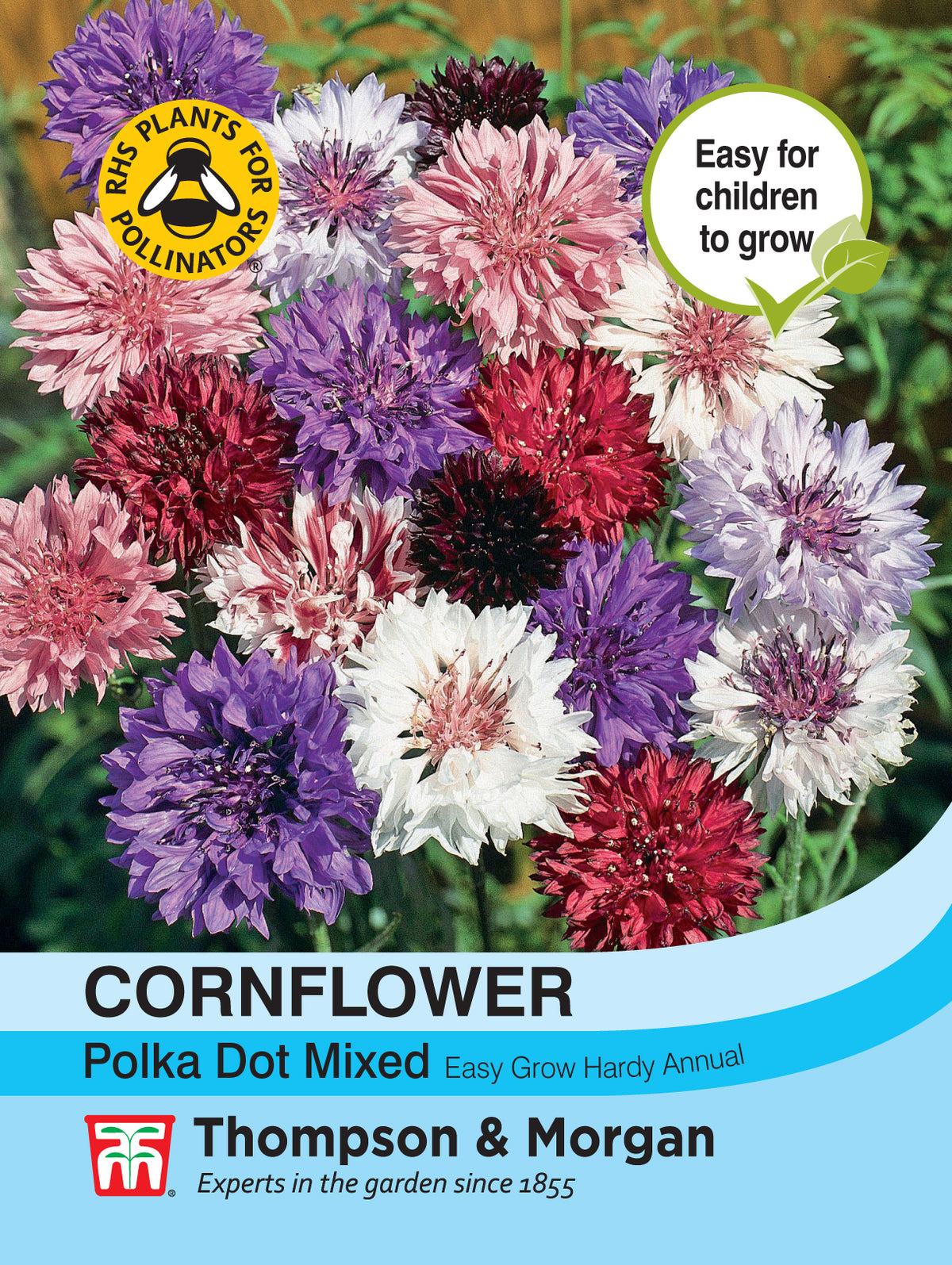 Cornflower Polka Dot Mixed- Pack of seeds