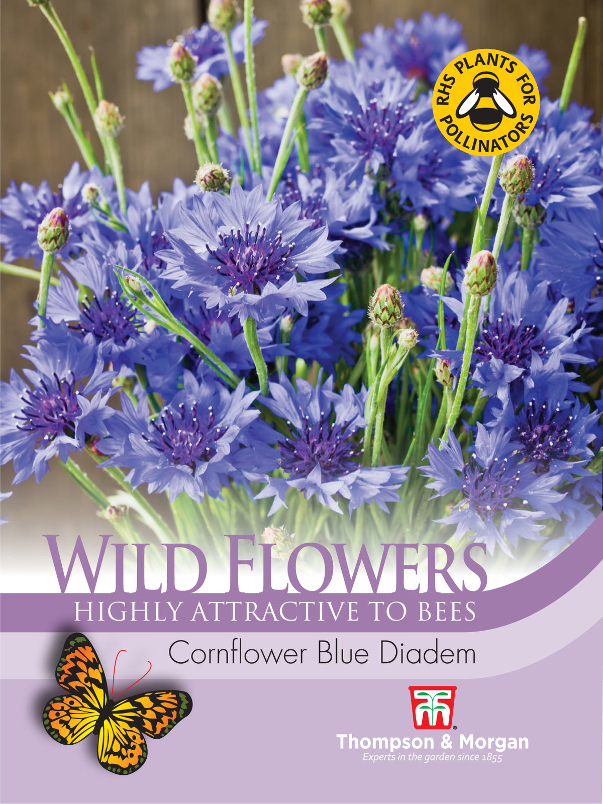 Wild Flower Cornflower Blue Diadem- Pack of seeds