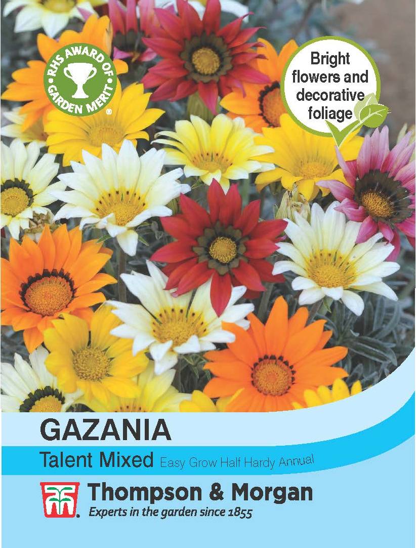 Gazania Talent Mixed- Pack of seeds