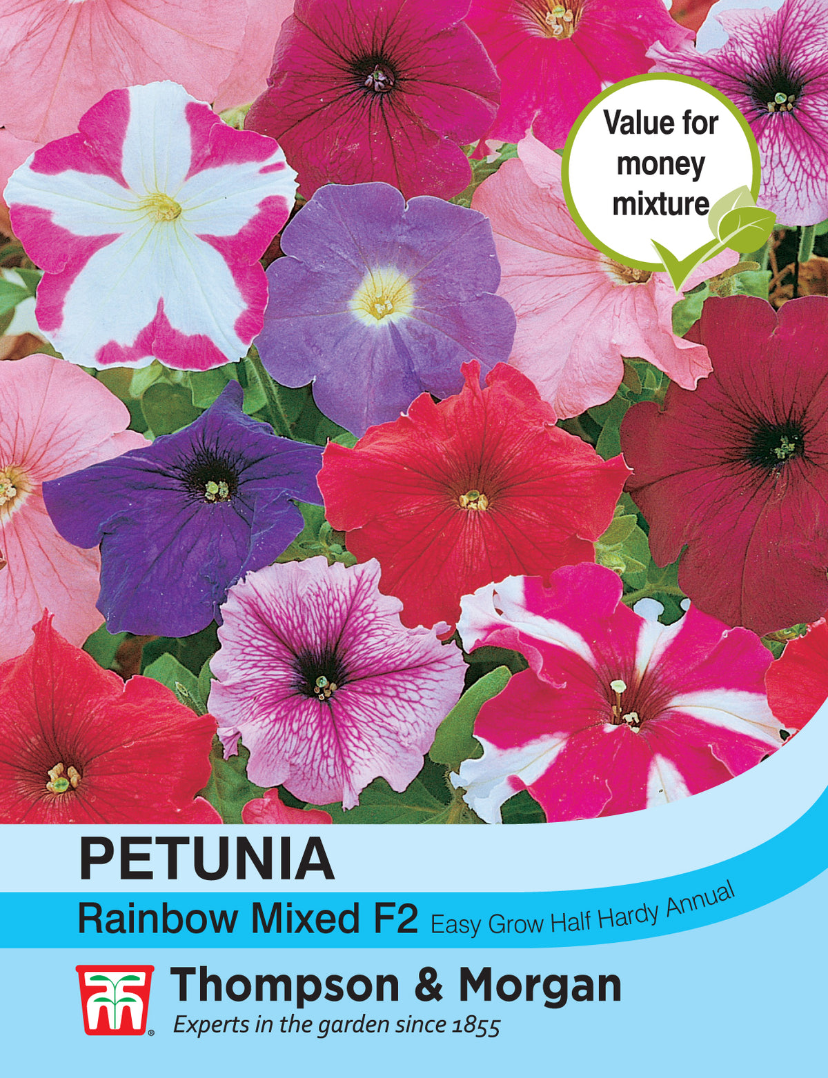 Petunia Rainbow Mixed F2 Hybrid- Pack of seeds