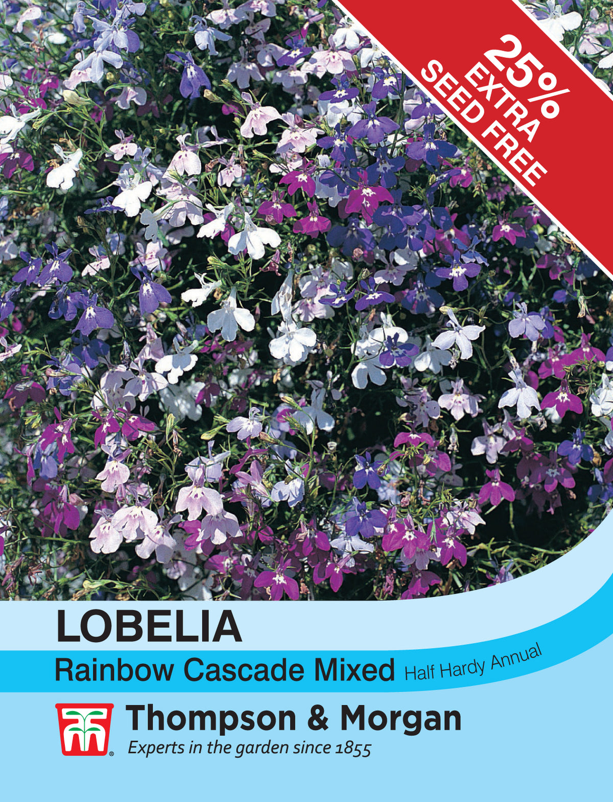 Lobelia (Trailing) Rainbow Cascade Mixed- Pack of seeds