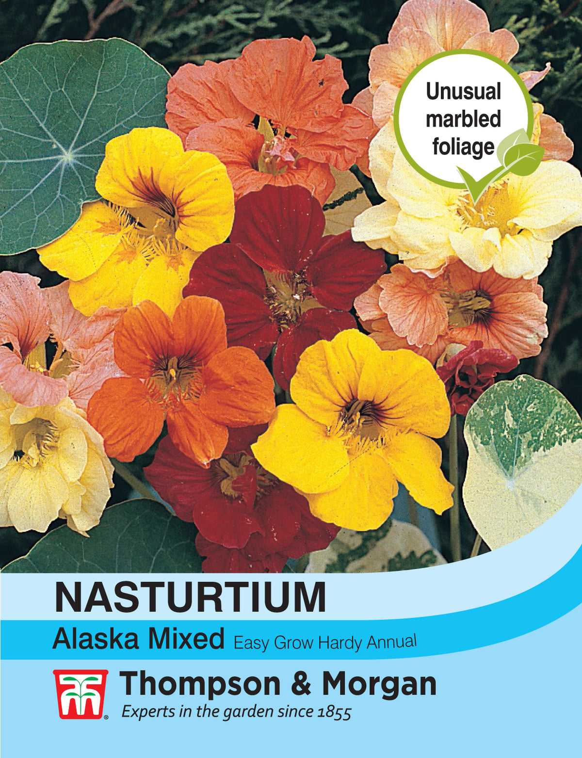Nasturtium Alaska Mixed- Pack of seeds
