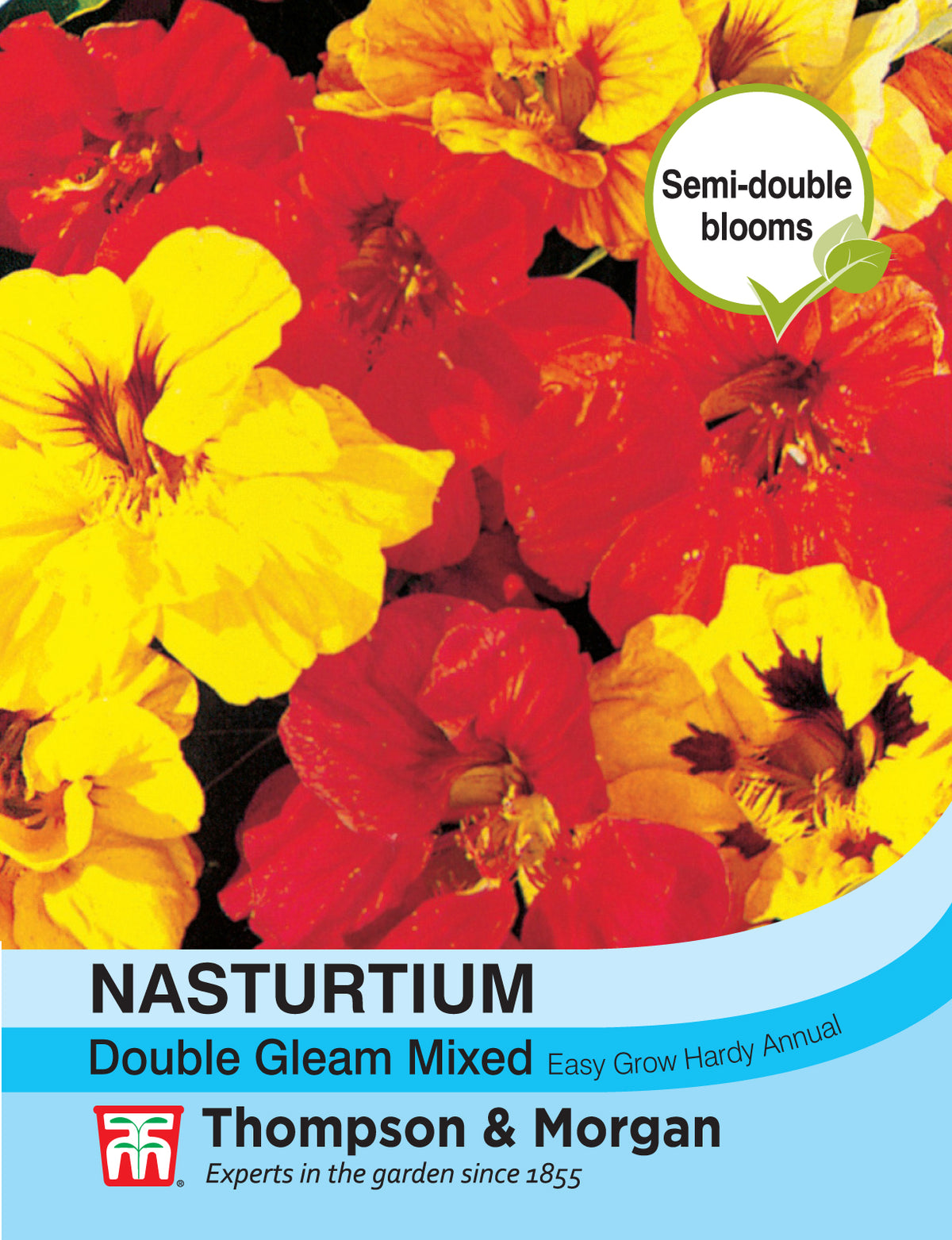 Nasturtium Double Gleam Mixed- Pack of seeds
