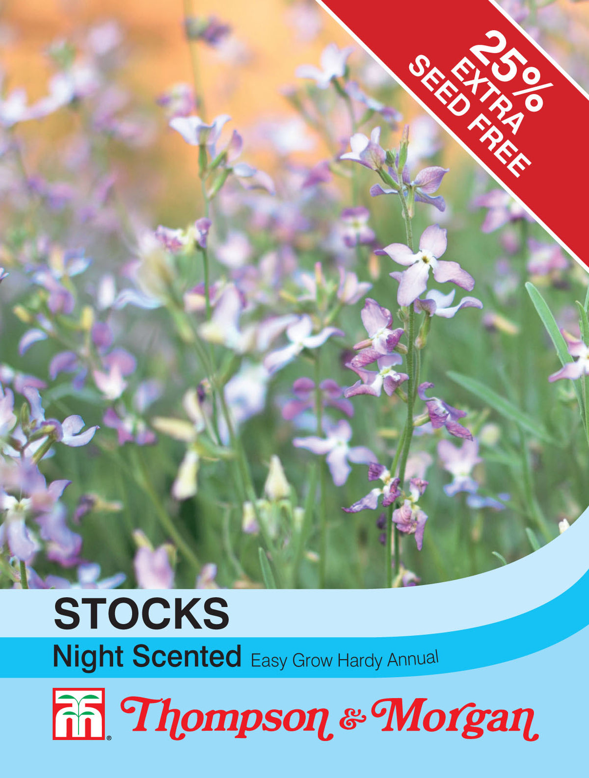 Stocks Night Scented- Pack of seeds