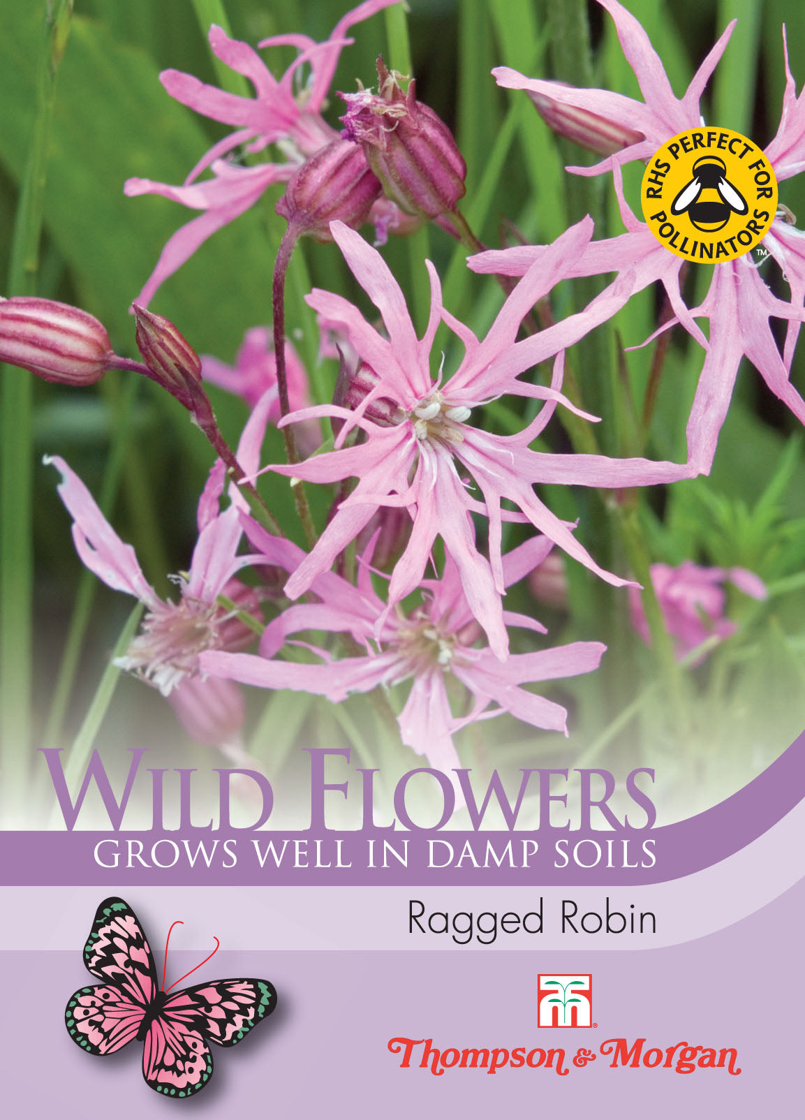 Wild Flower Ragged Robin- Pack of seeds