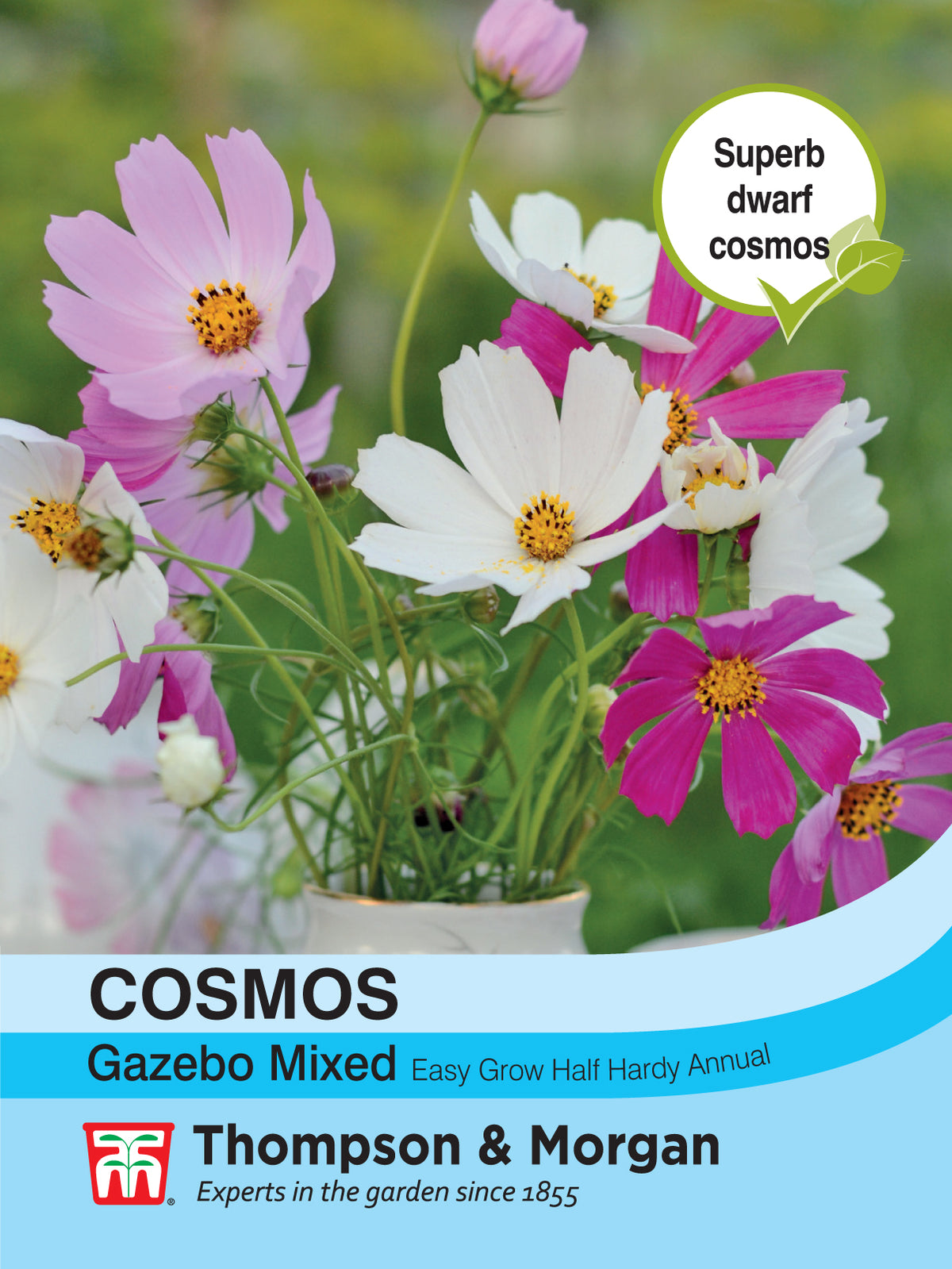 Cosmos Gazebo Mixture- Pack of seeds
