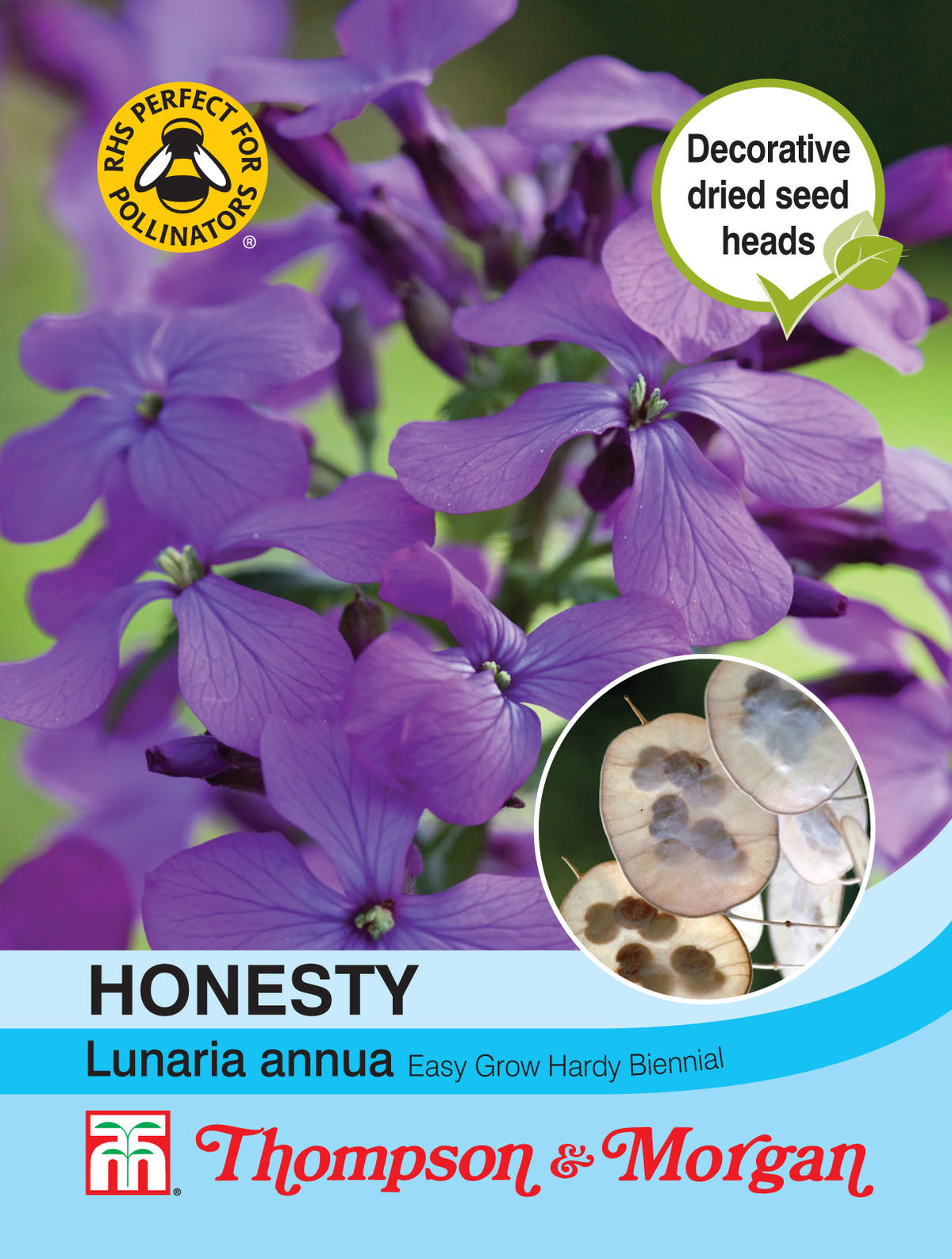 Honesty (Lunaria or Silver Dollar)- Pack of seeds