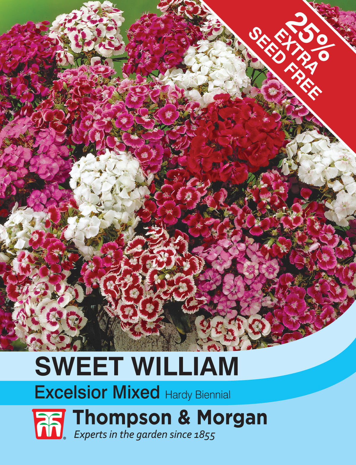 Sweet William Excelsior Mixed- Pack of seeds