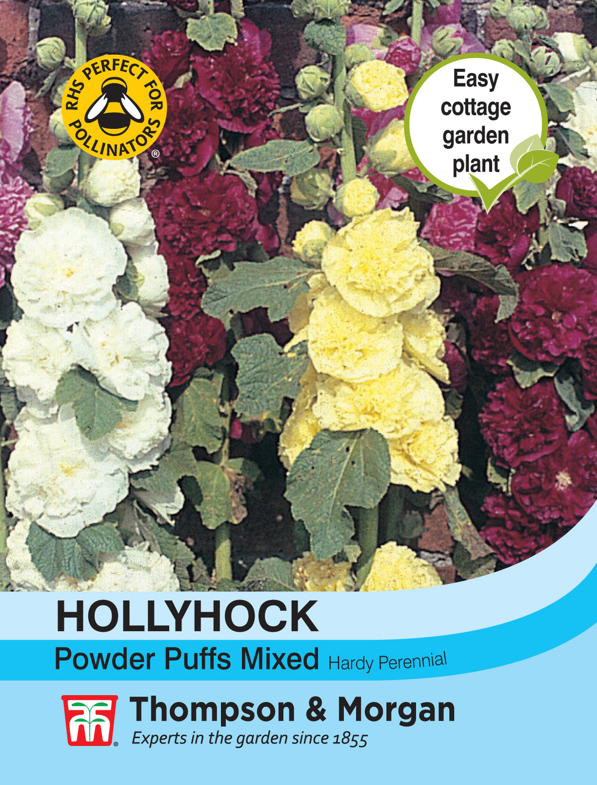 Hollyhock Powder Puffs Mixed- Pack of seeds