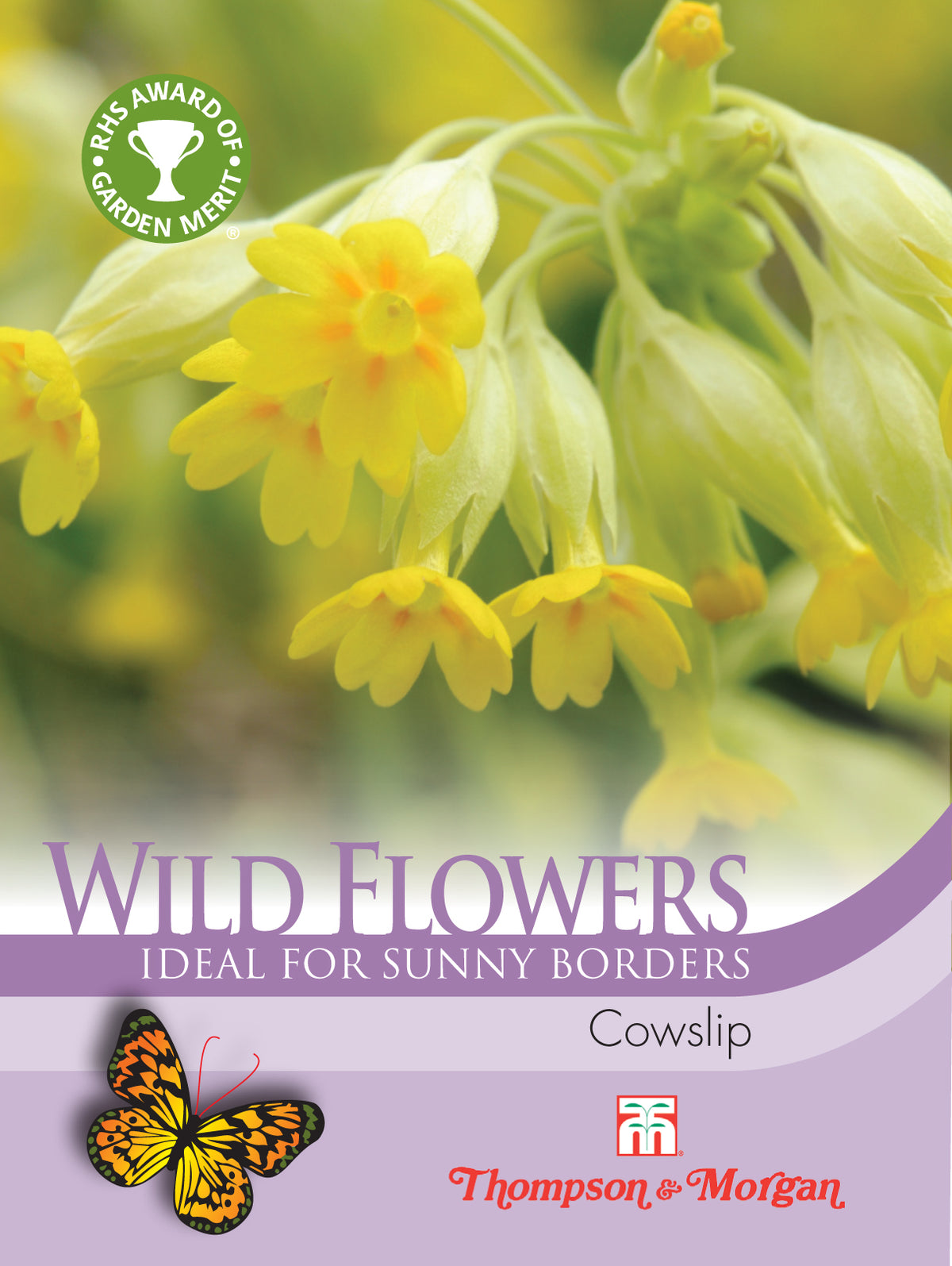 Wild Flower Cowslips (Primula veris)- Pack of seeds