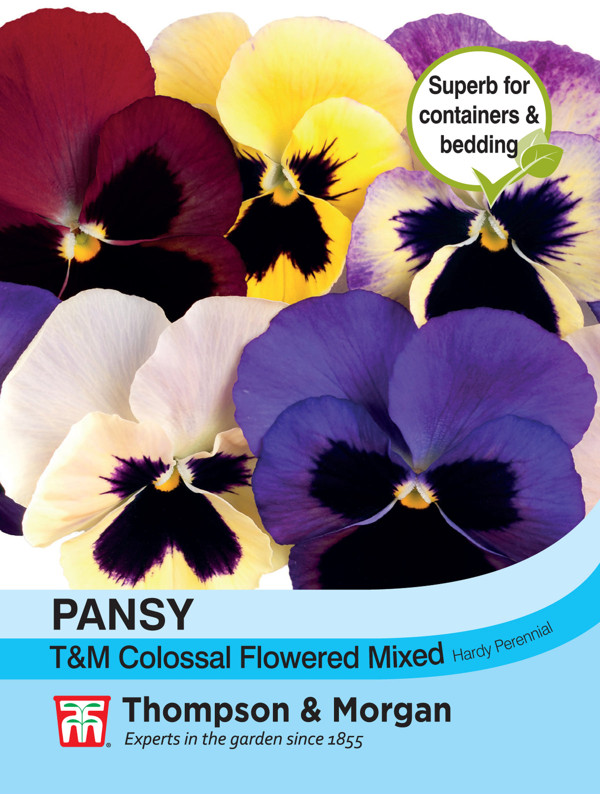 Pansy T&M Colossal Flowered Mixed- Pack of seeds