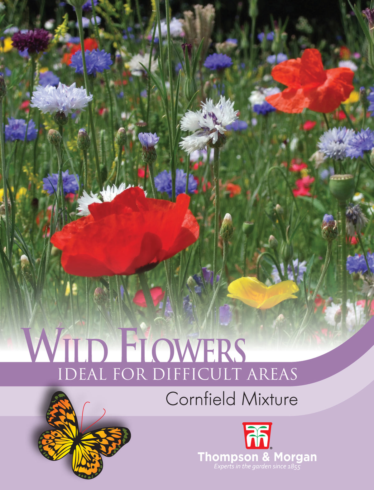 Wild Flower Cornfield Mixture- Pack of seeds