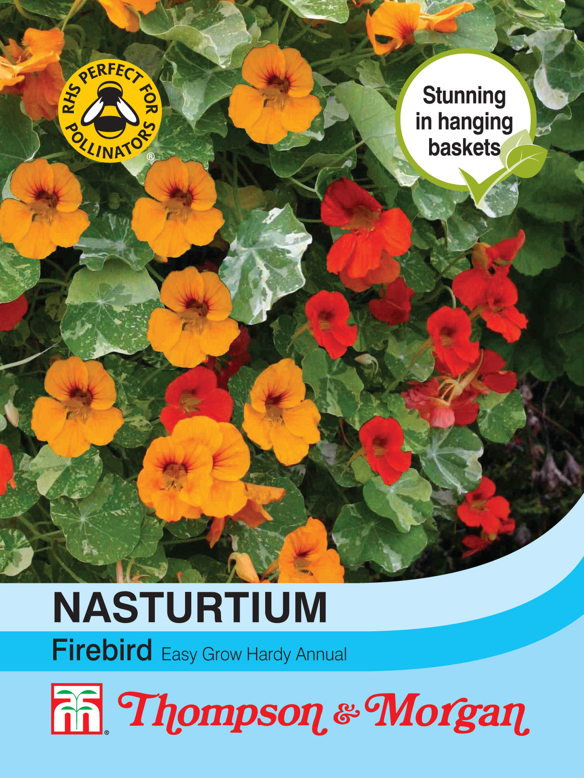 Nasturtium Firebird- Pack of seeds