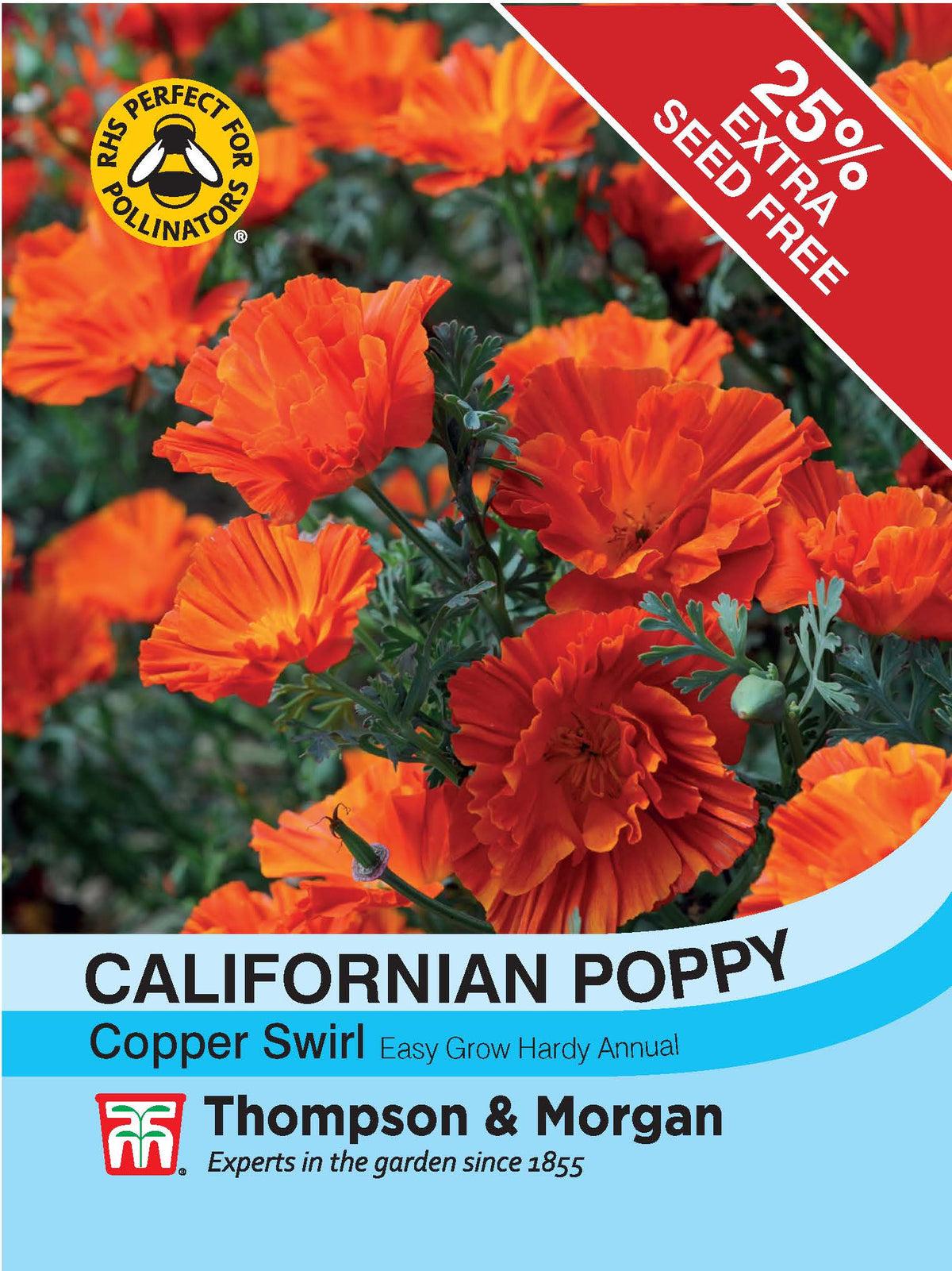 Californian Poppy Copper Swirl - Pack of seeds