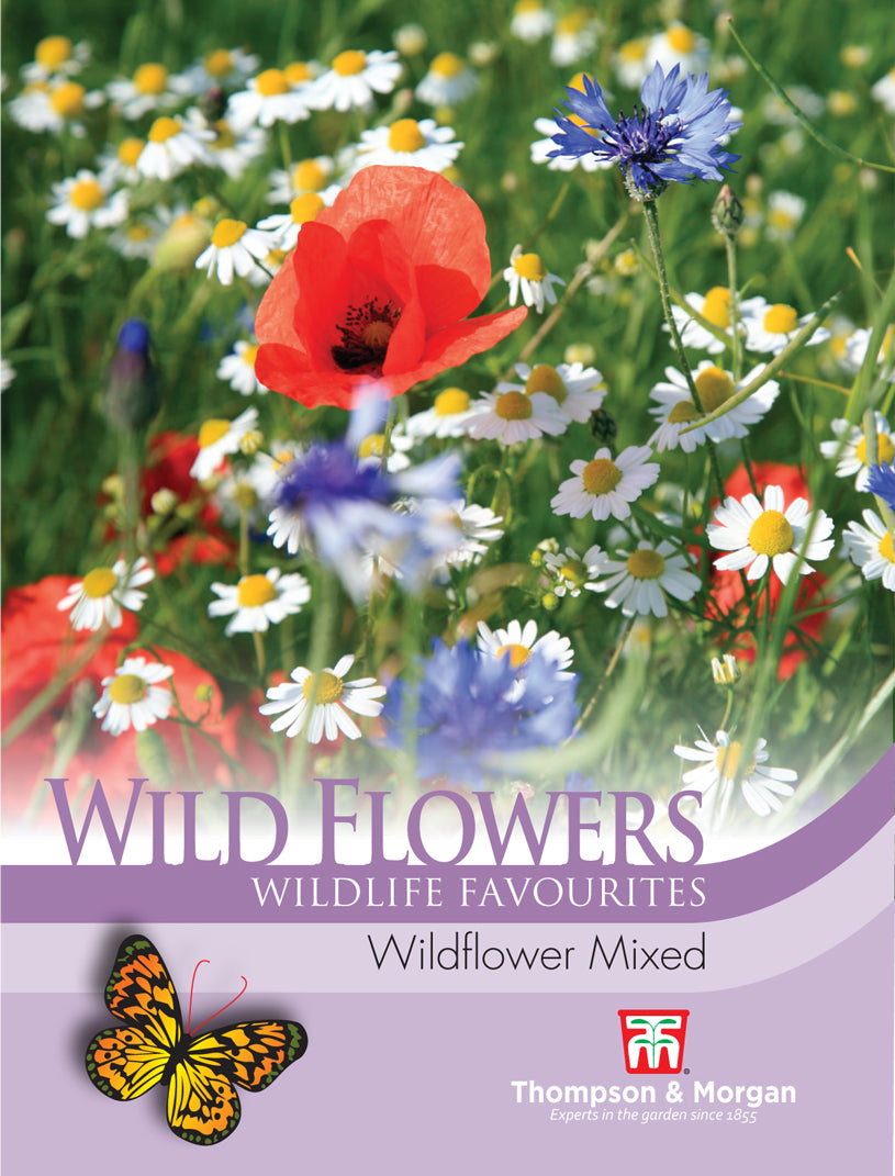 Wild Flower Mixture- Pack of seeds