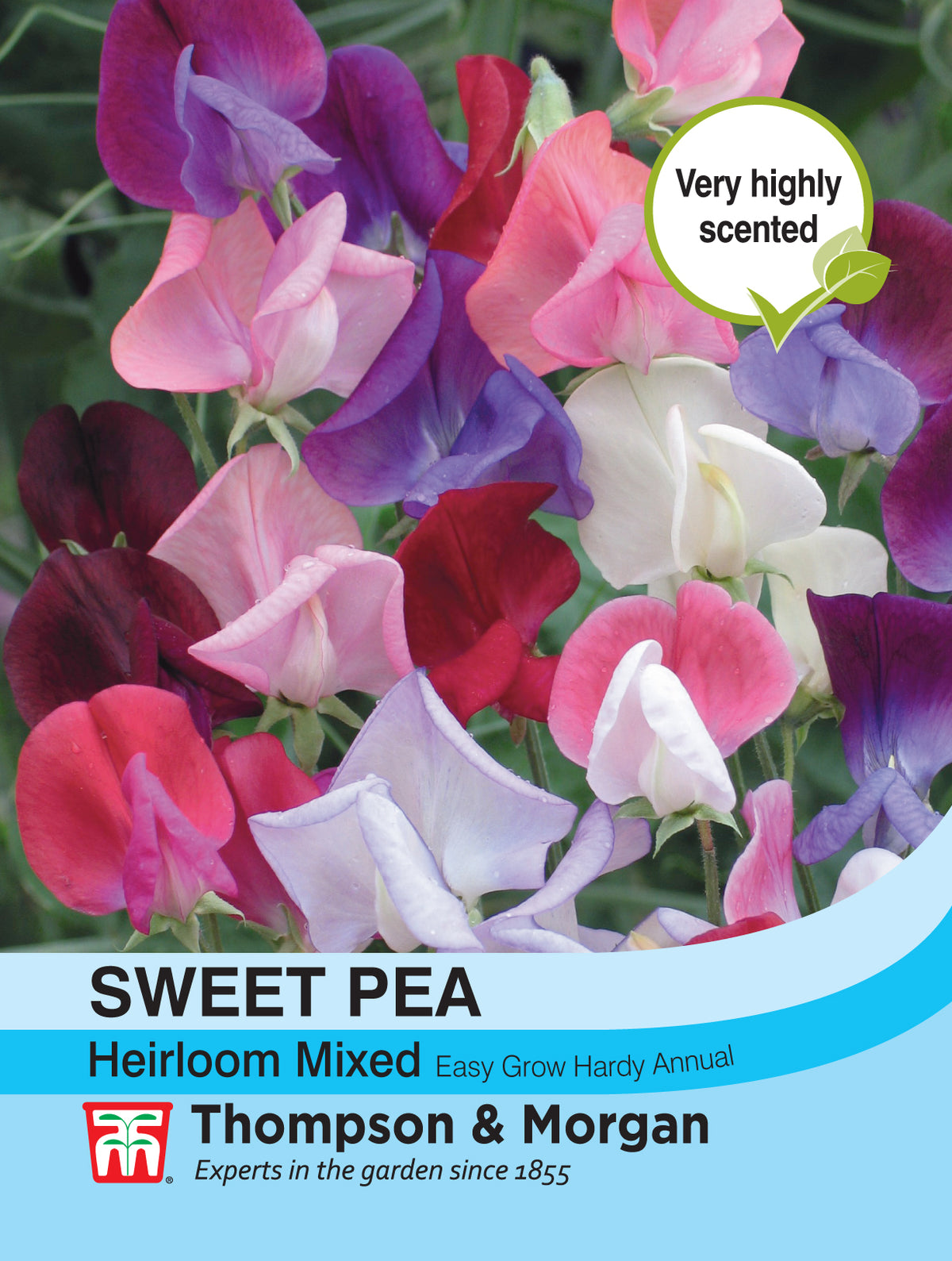 Sweet Pea Heirloom Mix- Pack of seeds