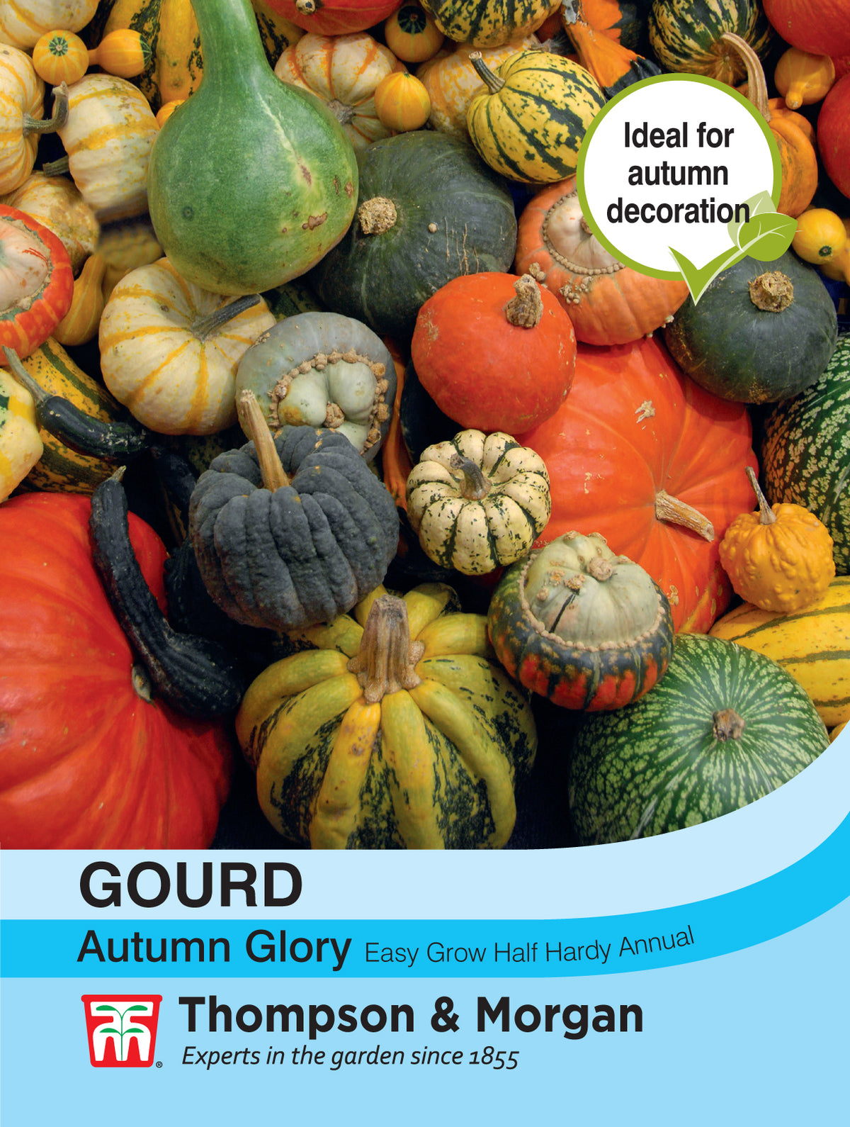 Gourd Autumn Glory- Pack of seeds