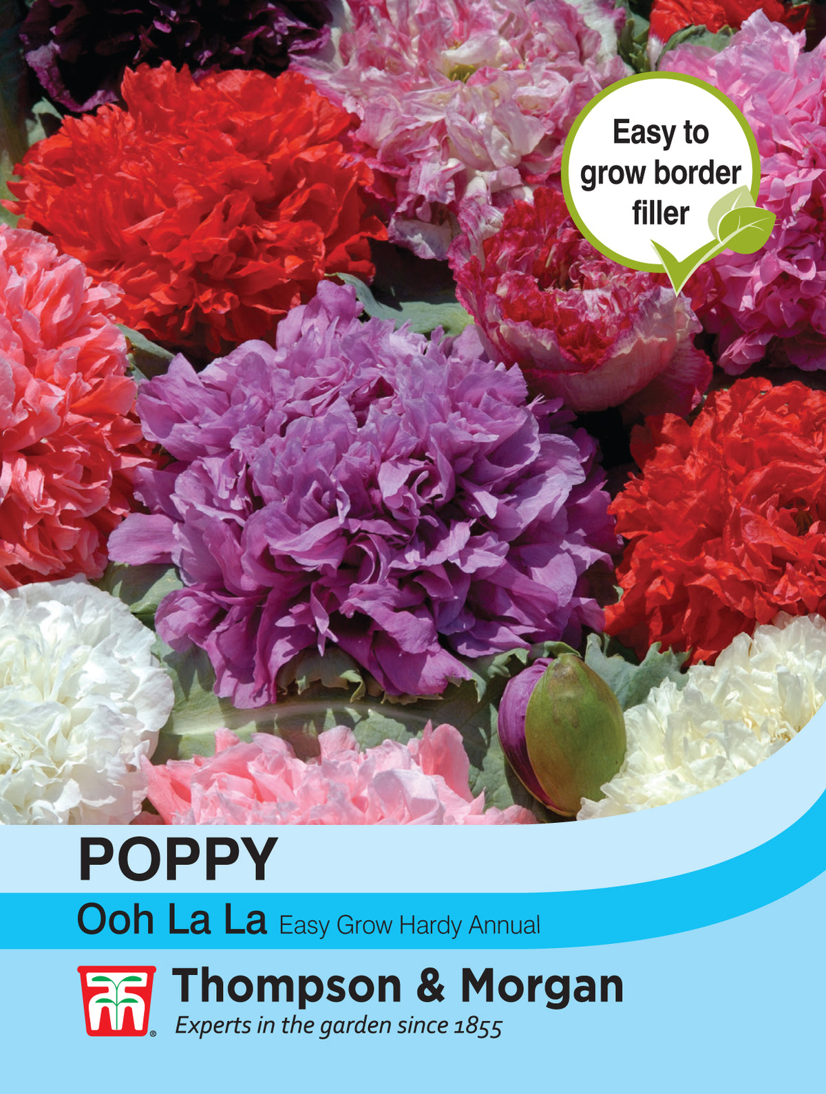 Poppy Ooh la la- Pack of seeds