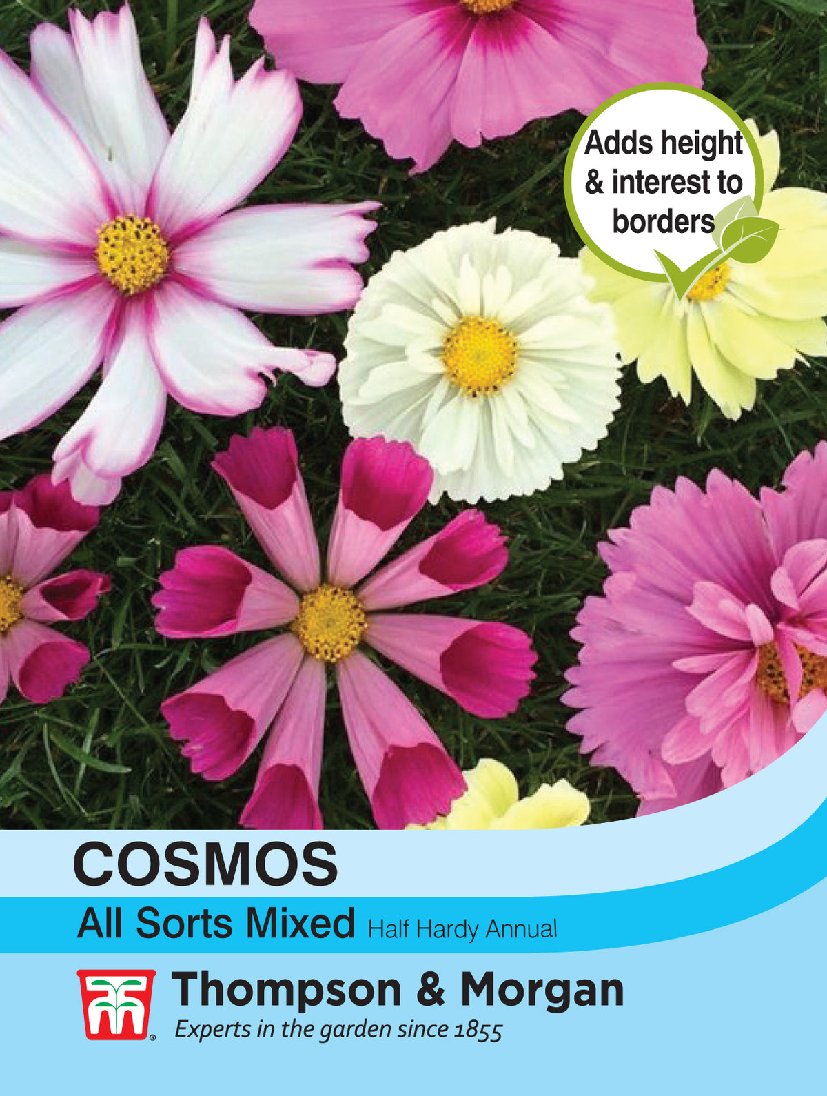 Cosmos All Sorts Mixed- Pack of seeds
