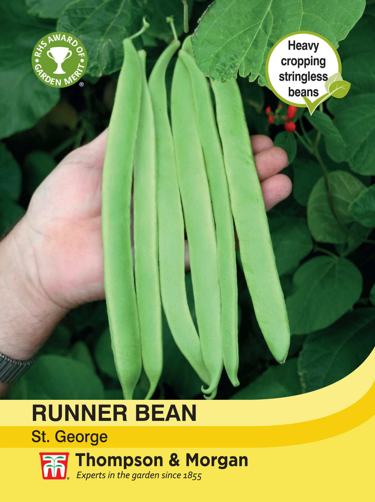 Runner Bean St. George- Pack of seeds