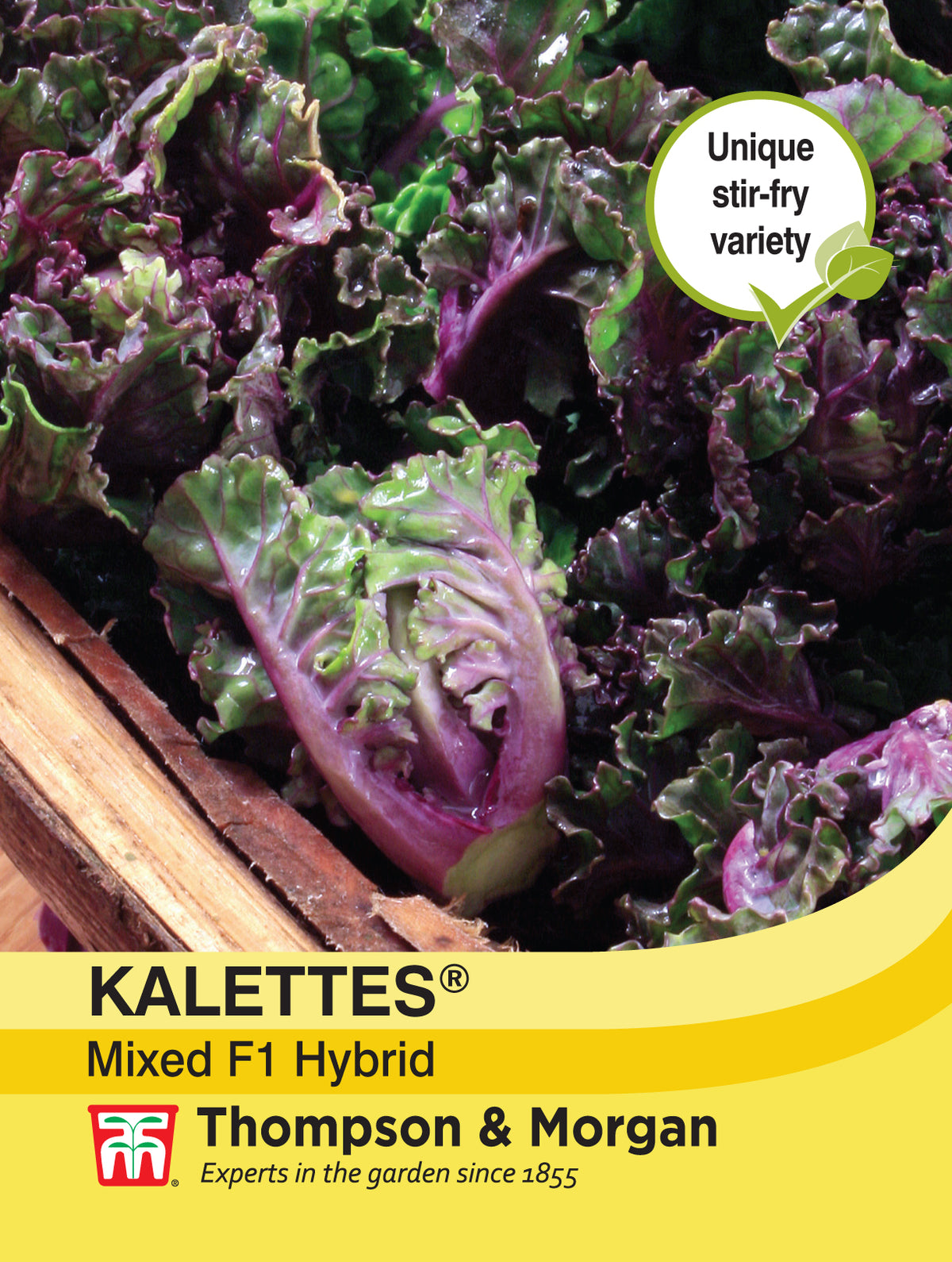 Kalettes¨ Garden Mix F1 Hybrid- Pack of seeds
