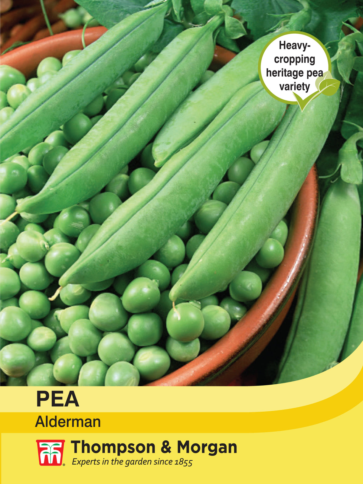Pea Alderman- Pack of seeds