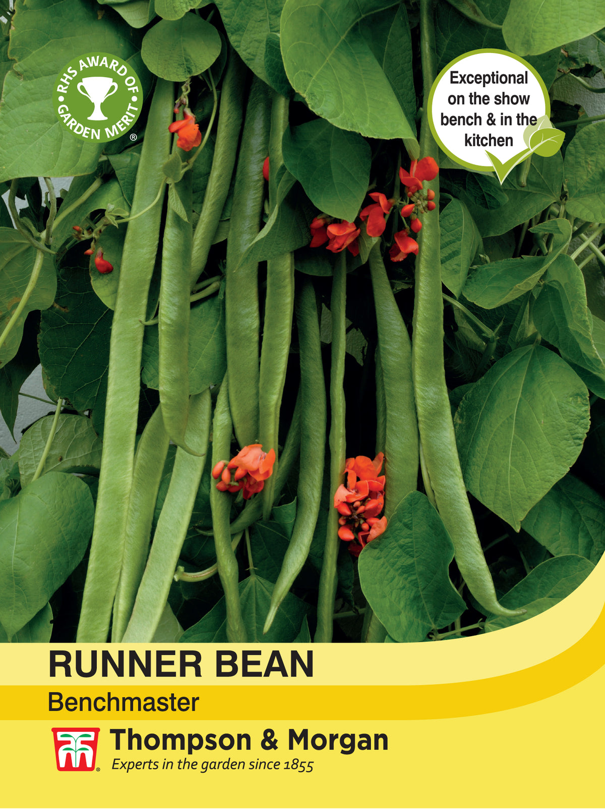 Runner Bean Benchmaster- Pack of seeds