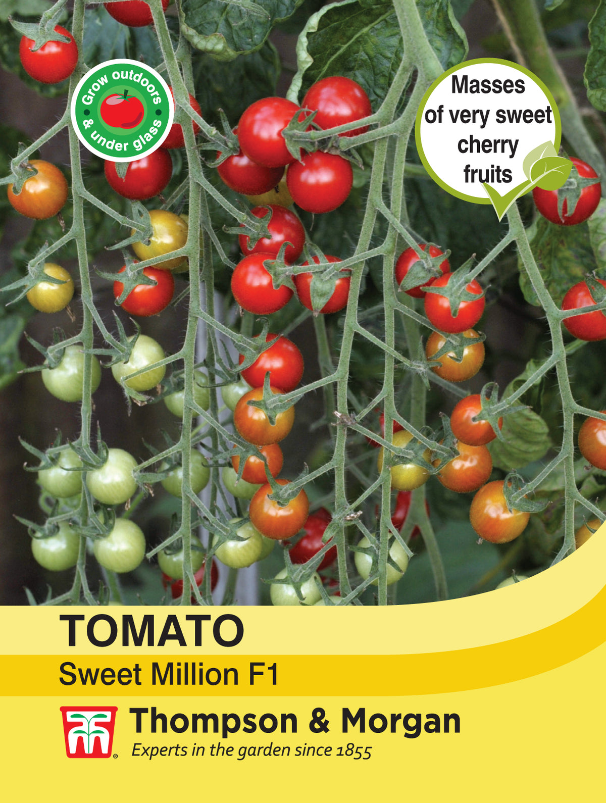 Tomato Sweet Million F1 Hybrid- Pack of seeds