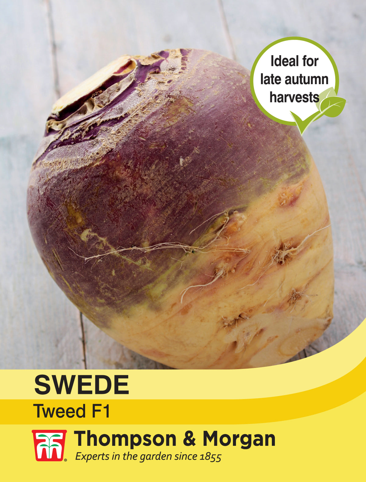 Swede Tweed- Pack of seeds