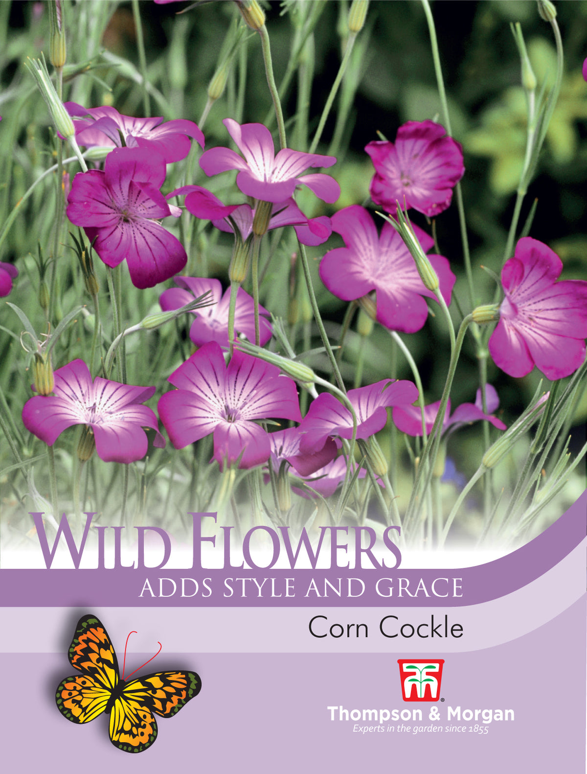 Wild Flower Corn Cockle- Pack of seeds