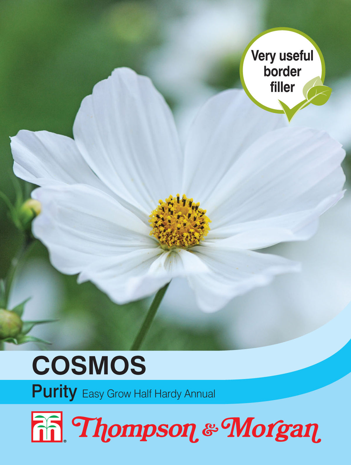 Cosmos Purity- Pack of seeds