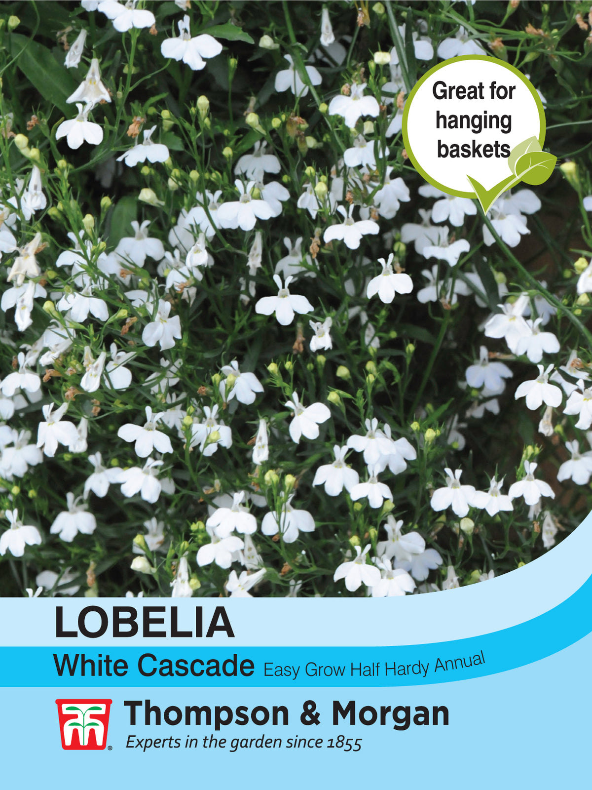 Lobelia (Trailing) White Cascade- Pack of seeds