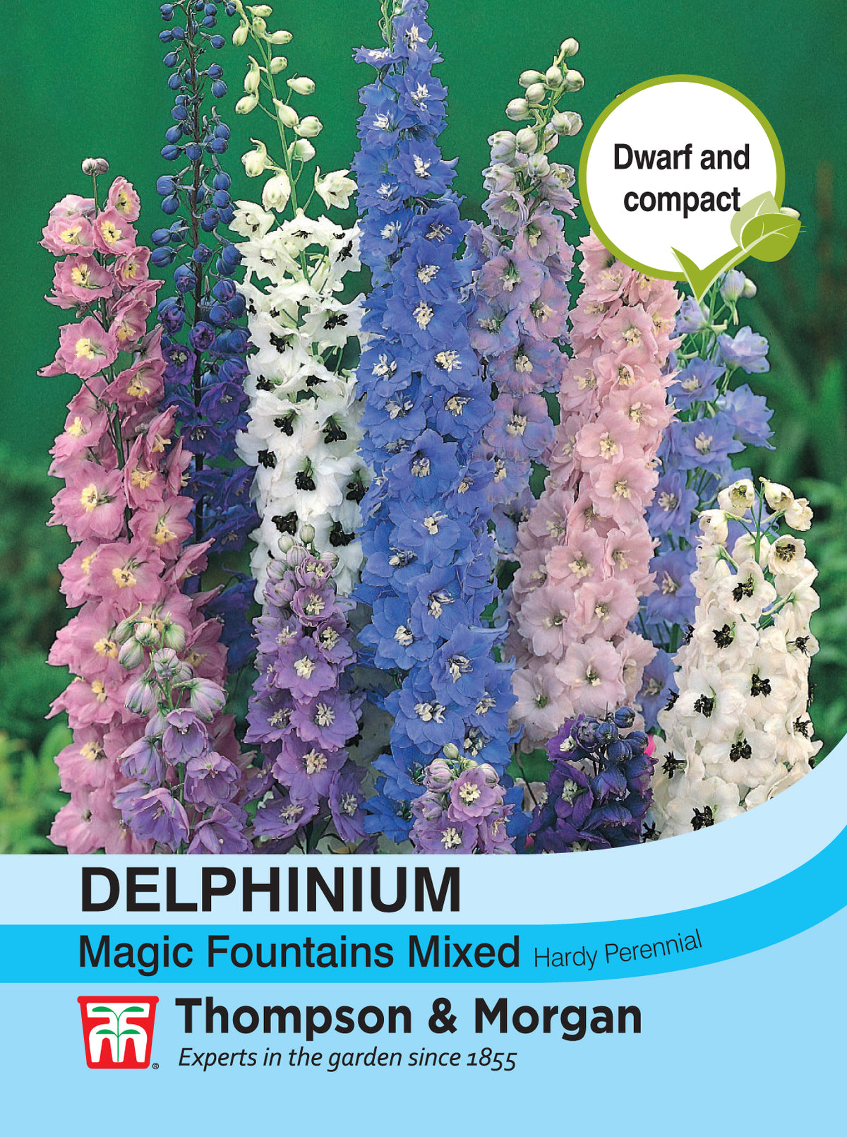 Delphinium Magic Fountains- Pack of seeds
